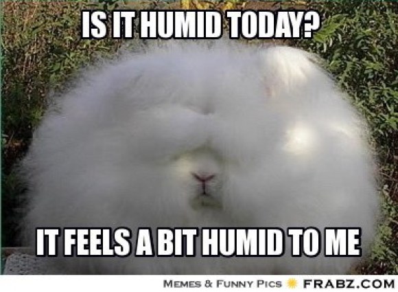 Is it Humid Today Image